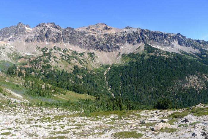 Mountains and Forests in Washington, USA