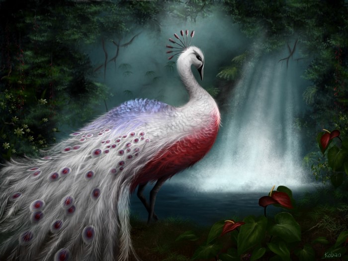 A painted peacock with red, white, and blue feathers stands near a waterfall.