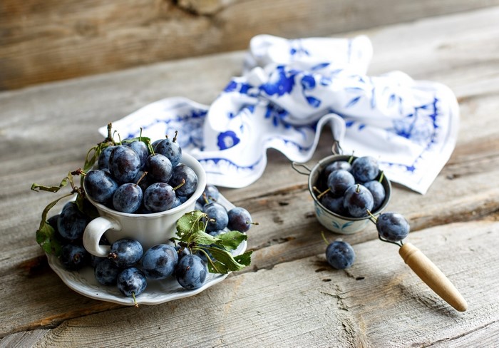 Plums in a cup and saucer with a patterned cloth