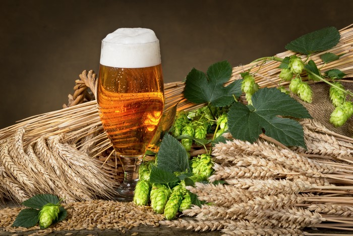 Beer with Hops and Wheat