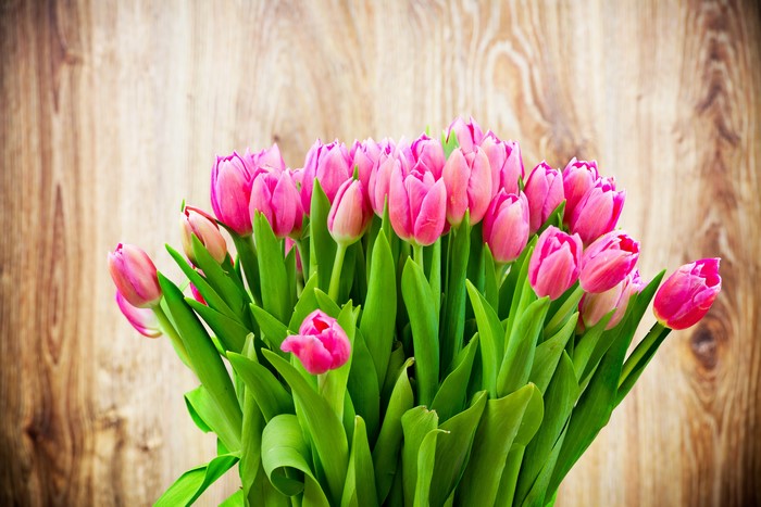 Bouquet of Pink Tulips on Wooden Background