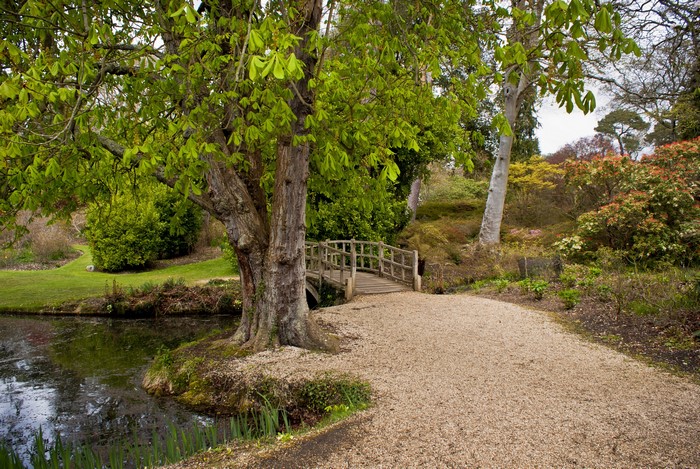 Wooden bridge over a pond in Exbury, England