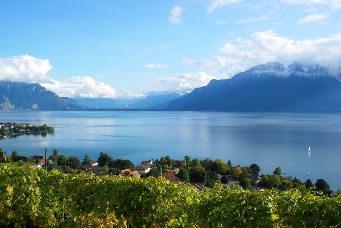 Lake Geneva and mountains in Switzerland with vineyards