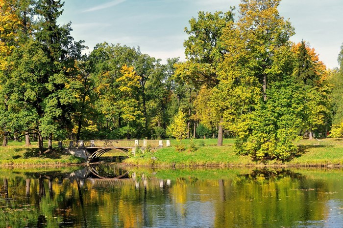Stone bridge over a river in a park with autumn trees