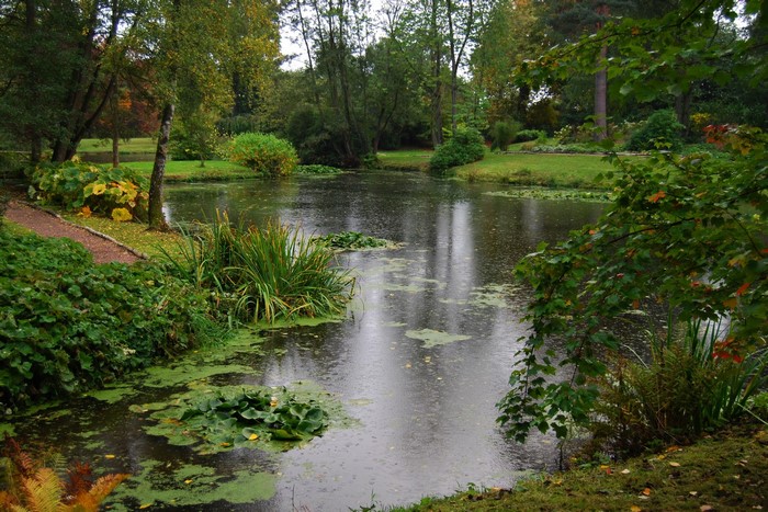 Pond and garden in Cholmondeley, England