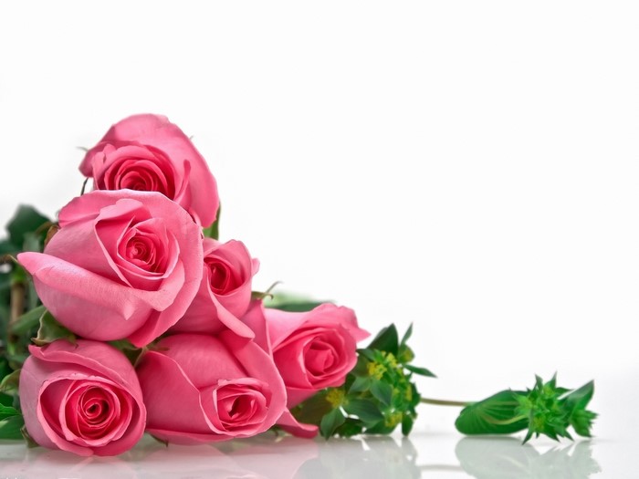 Pink Roses with Greenery