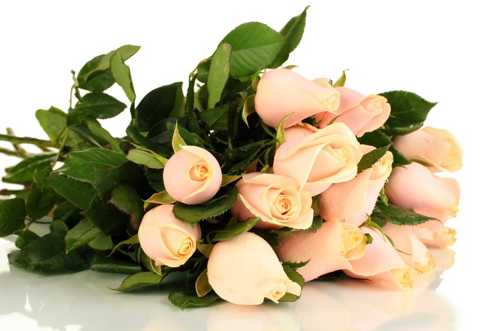 Bouquet of Pink Roses