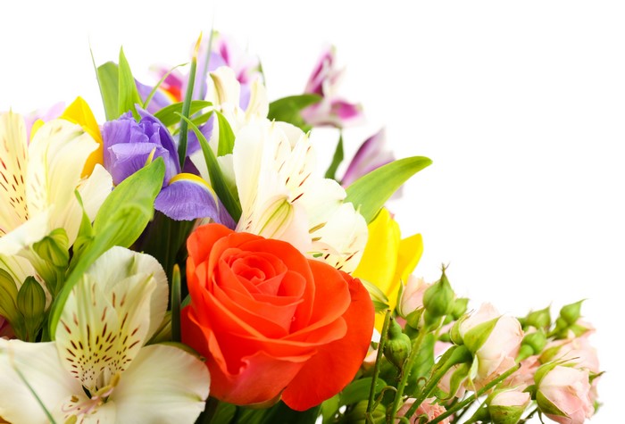 Bouquet of Roses, Alstroemeria, and Irises