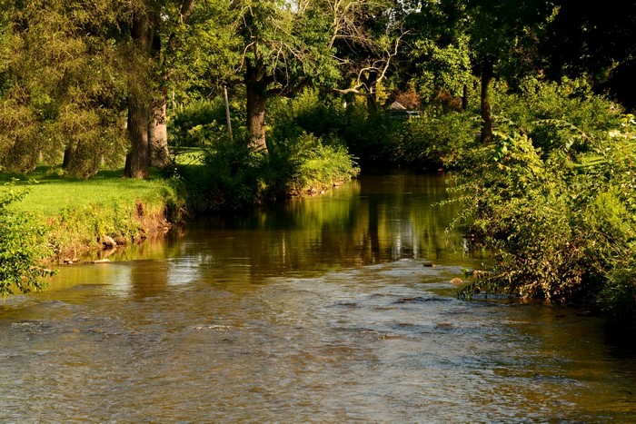 A river flows through a wooded area with green grass.