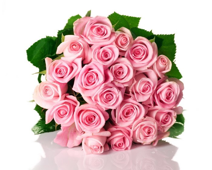 Bouquet of Pink Roses on White Background