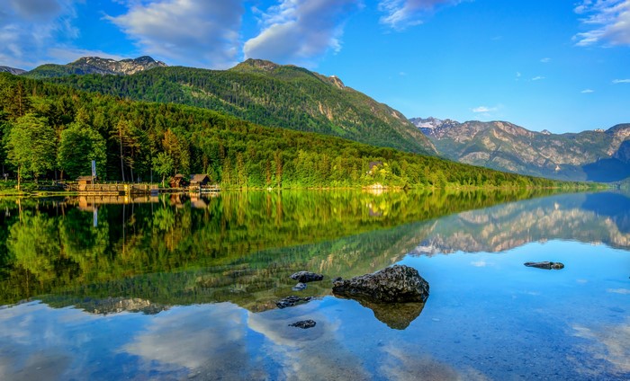 Lake Bohinj with mountains and forest in Slovenia