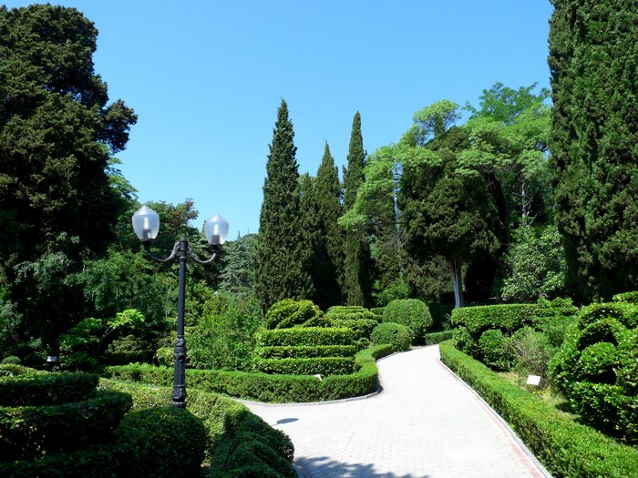 Park pathway with manicured shrubs and trees in Crimea