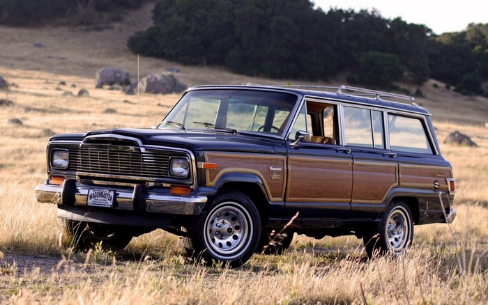 1982 Jeep Wagoneer Limited in a field