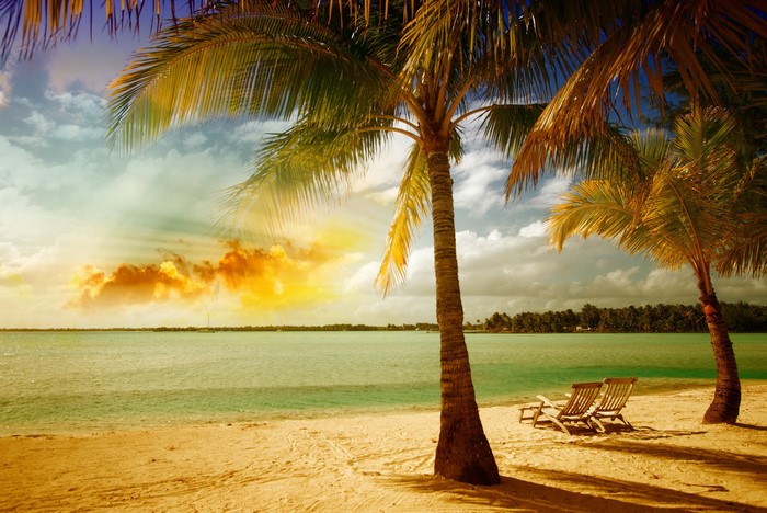 Tropical beach with palm trees and lounge chairs