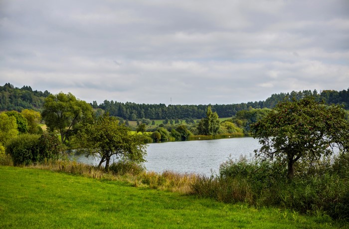 Lake and trees in Ellscheid, Germany