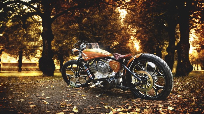 Custom Harley-Davidson motorcycle in autumn park
