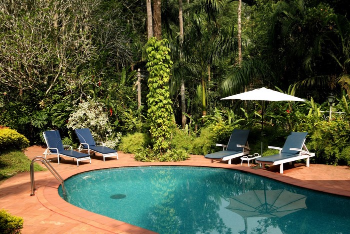 Swimming pool with lounge chairs and umbrella in a tropical garden