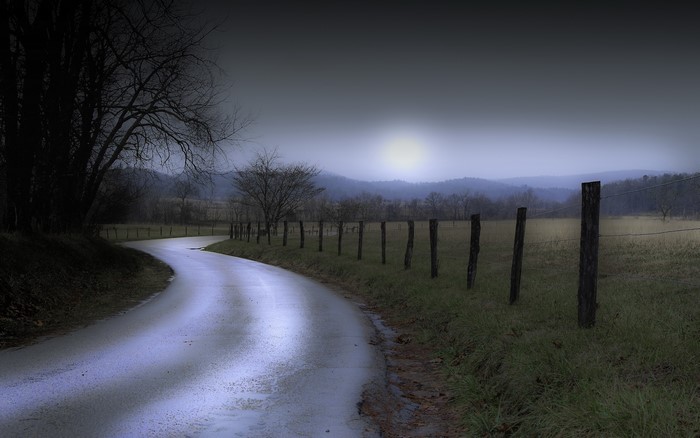 Winding Road Beside a Fence in Foggy Landscape