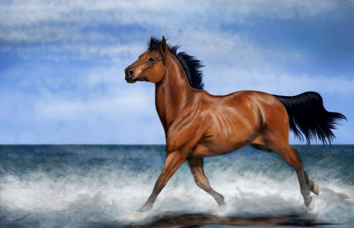 Brown horse running through water