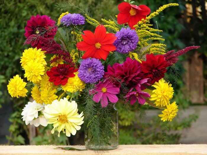 Colorful bouquet of dahlias and asters in a glass vase