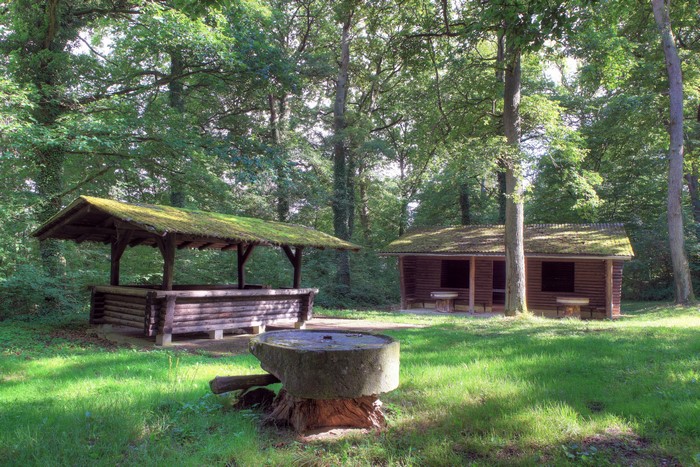 Picnic area in a forest near Kloten, Germany