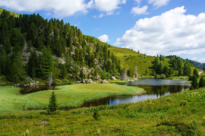 Lake and spruce forest on a grassy hillside in Reichenau, Austria