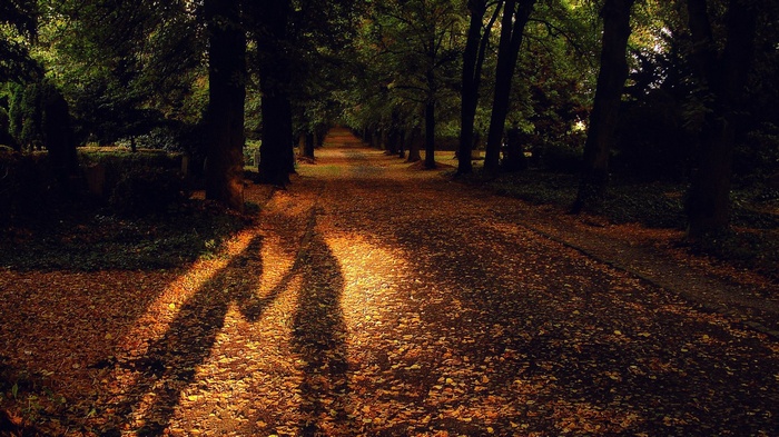 Shadows of a couple holding hands on a path