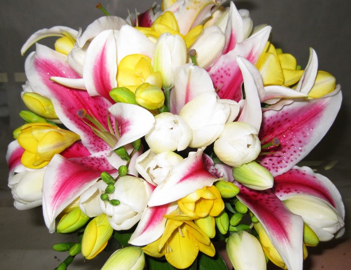 Bouquet of Lilies, Freesia, and Tulips