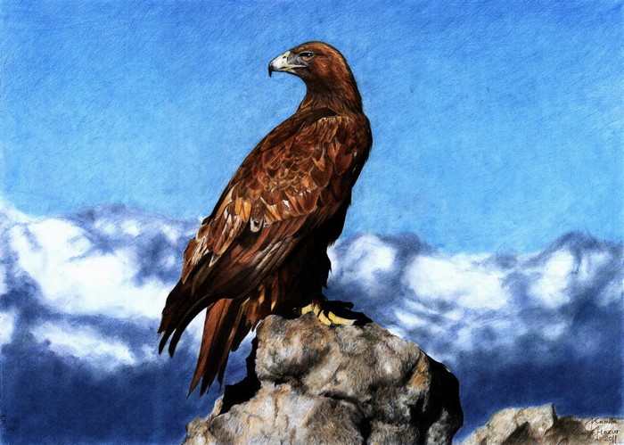 Eagle perched on a rock with mountains and blue sky