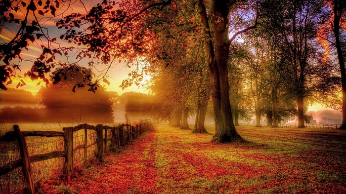 Autumn path with trees and fence at sunset