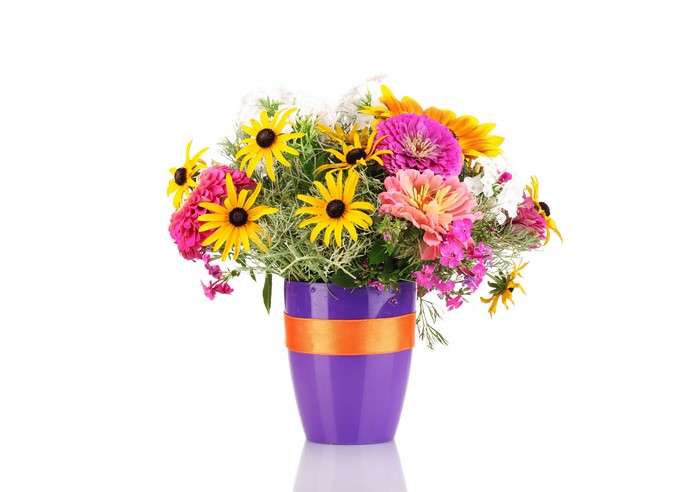Bouquet of Zinnias and Black-Eyed Susans in a Purple Vase