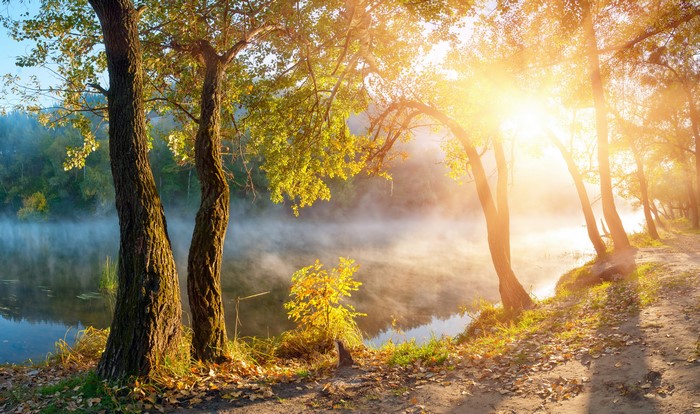 Autumn riverbank with sunbeams and mist