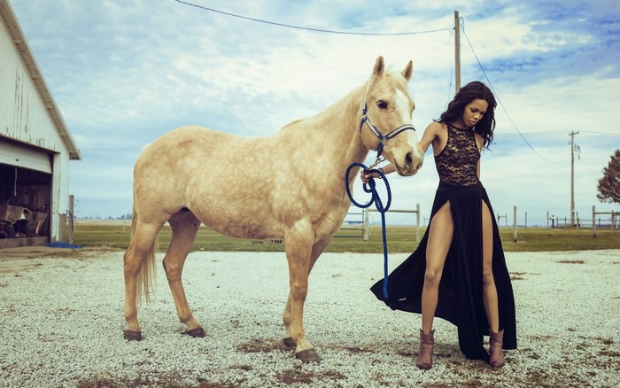 Woman in a black dress with a horse on a farm