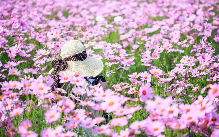 Woman in a hat in a field of pink flowers