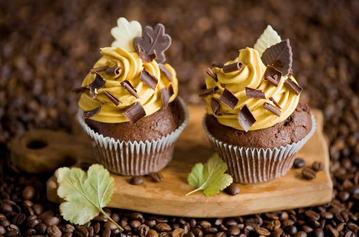Two chocolate cupcakes with caramel frosting and chocolate shavings