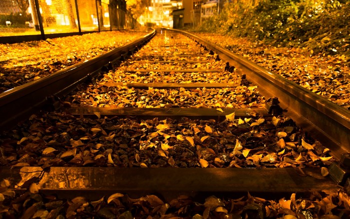 Railroad tracks covered in autumn leaves at night
