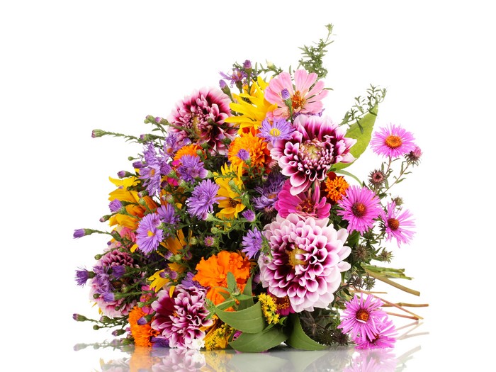 Bouquet of Dahlias and Asters on White Background