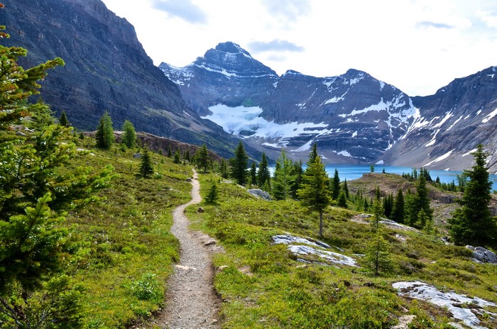 Mountain Trail Leading to a Glacial Lake in Canada