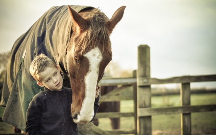 Boy with horse wearing a blanket