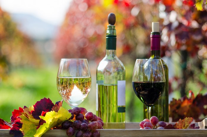 Wine and Grapes in a Vineyard