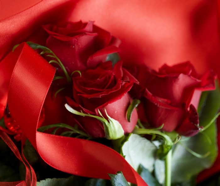 Red Roses with Red Ribbon