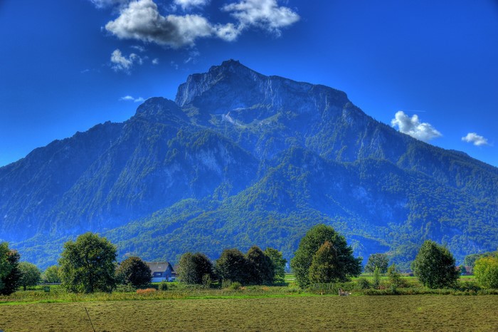 Mountain landscape in Anif, Austria with trees and a house