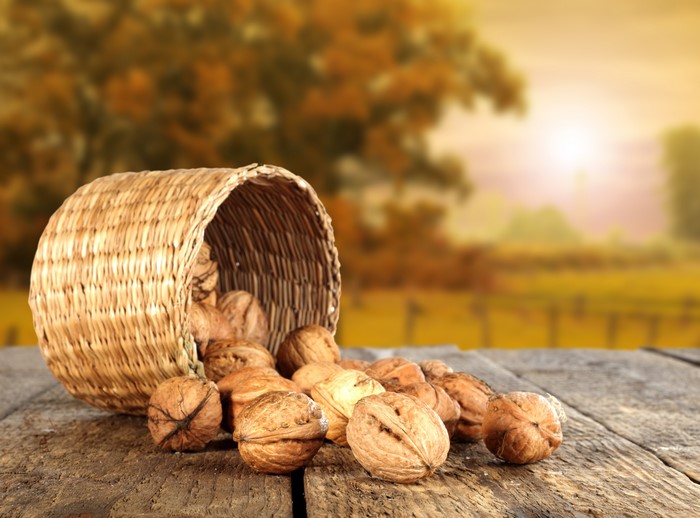 Walnuts spilling from a wicker basket on a wooden table