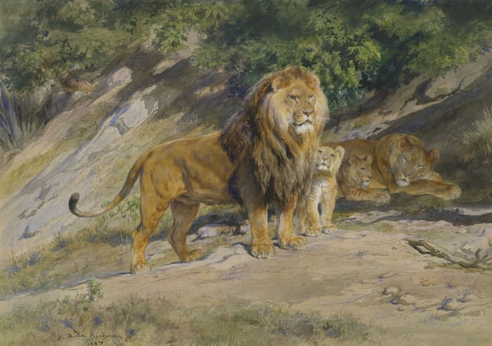 Rosa Bonheur's The King watches