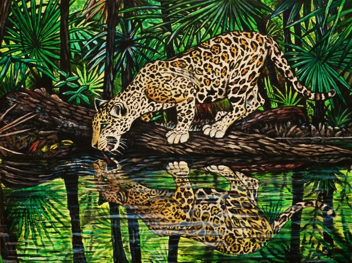 Jaguar drinking water in a jungle