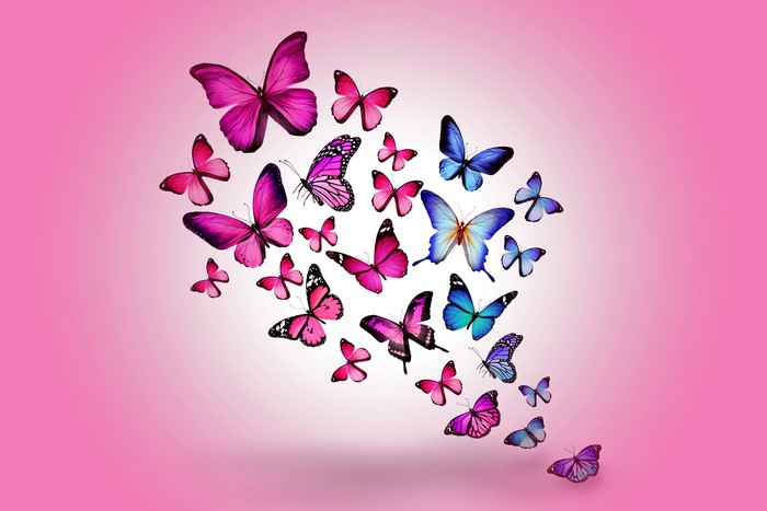 Butterflies