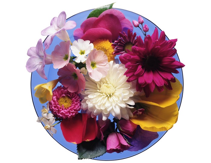 Assortment of Flowers on a Blue Plate