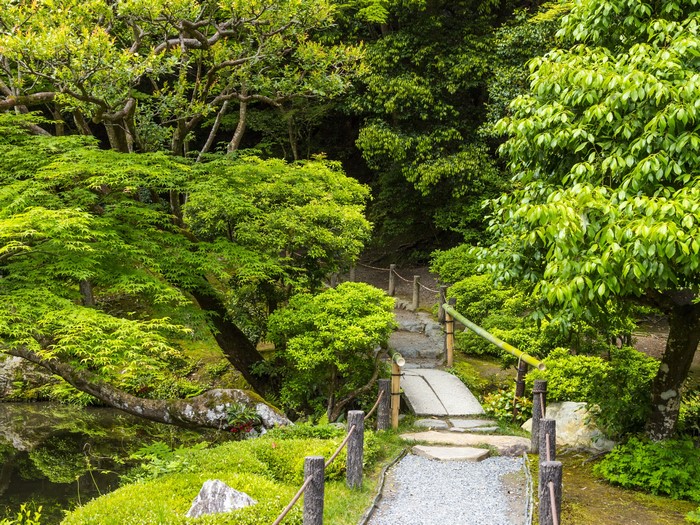 Stone bridge and path in a lush Japanese garden