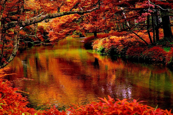 Autumn river with vibrant red and orange foliage