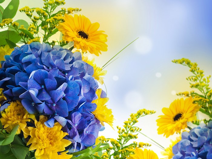 4K Hydrangea and Gerberas Flower Arrangement
